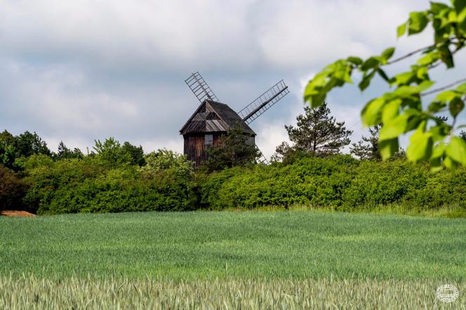 Muzeum Wsi Kieleckiej jeszcze bardziej otwarte dla zwiedzających