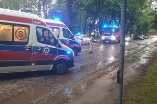 Piorun uderzył w dwóch mężczyzn w Rozewiu. Stali pod drzewem. Strażacy przystąpili do reanimacji [ZDJĘCIA].