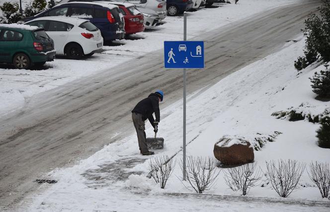 Atak zimy w Toruniu. Drogowcy komentują walkę ze śnieżycami