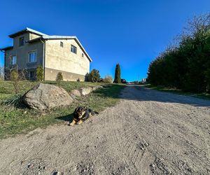 Horror koło Ostródy. Zwierzęta konały bez światła, wody i jedzenia