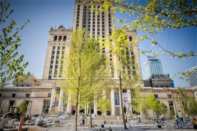 Warszawa. Plac Centralny