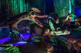 Dinozaury jak żywe przed Stadionem