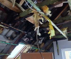 Pielęgniarka z Tarnowa straciła dach nad głową. Trwa zbiórka na remont zniszczonego budynku