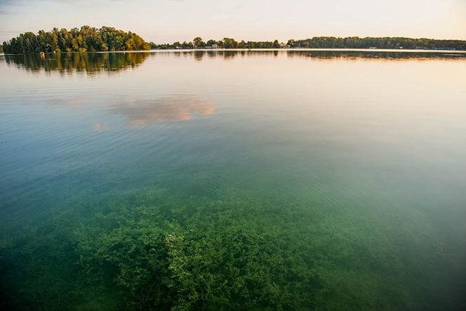 Dzierżno Małe to ukryta leśna perła