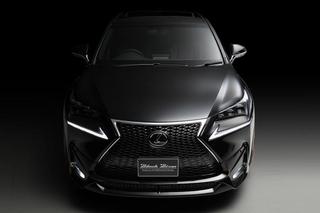 Lexus NX by Wald International