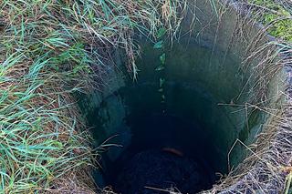 Ze studni słychać było przeraźliwe skomlenie. Misiek i Bonnie mieli wiele szczęścia