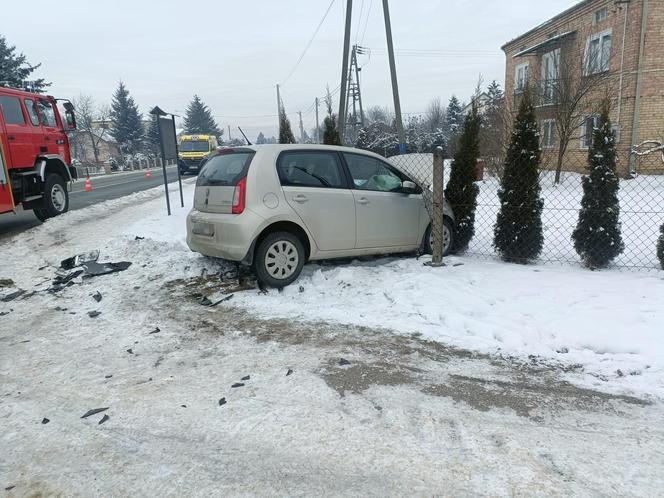 Samochód przebił ogrodzenie i staranował tuję. Pijany sprawca odpowie przed sądem