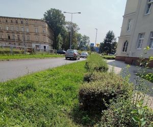 Zadbajmy sami o otaczającą nas zieleń - apel prezydenta 