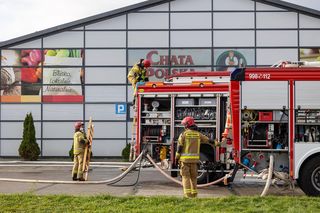 Gigantyczny pożar w galerii i śmierć papug. Strażacy bronią swoich działań, poseł grzmi o papugarniach