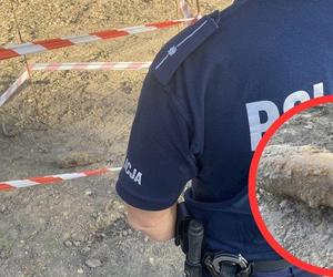 Kolejny niewybuch na Śląsku. W ogródku znaleziono pocisk z czasów II wojny światowej