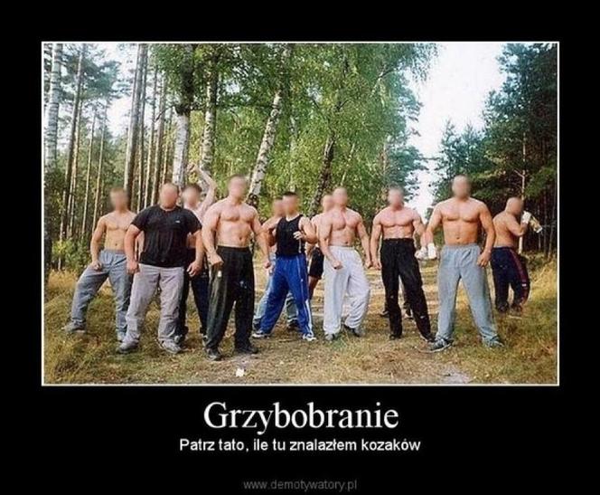 Grzybobranie 2023. Zobaczcie najlepsze memy o grzybiarzach! 