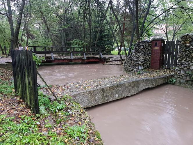 Wezbrane rzeki na Dolnym Śląsku