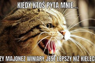 Najnowsze memy o Kielcach. Z czego żartują internauci? Sprawdźcie