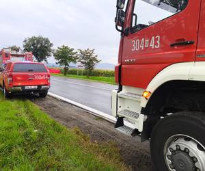 Bus uderzył w drzewo koło Wrocławia. Dwie osoby nie żyją