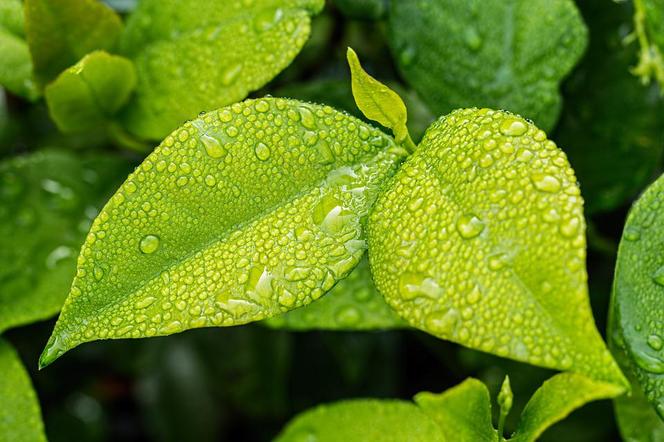  Ekowakacje w duchu Laudato Si'. Jak wziąć udział w konkursie?