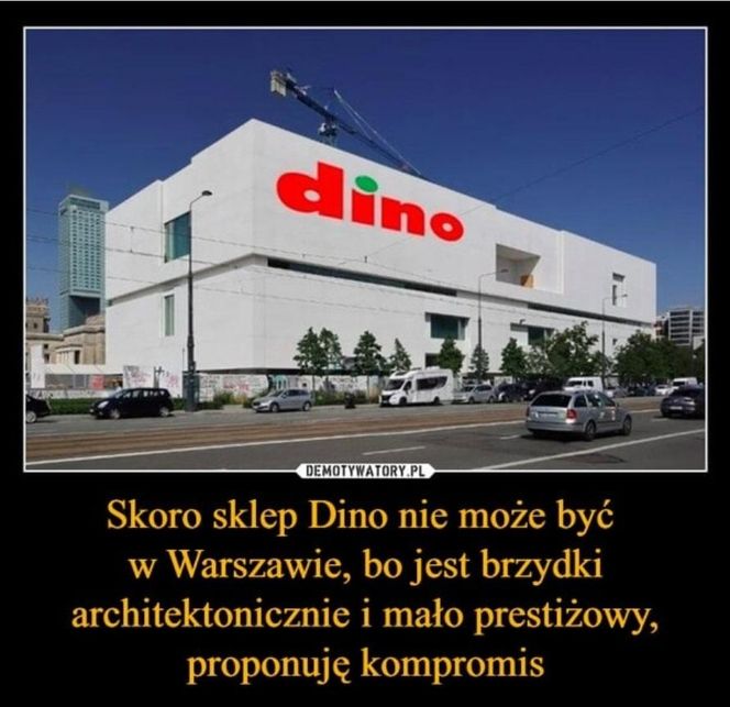 Memy o Dino obiegły social media
