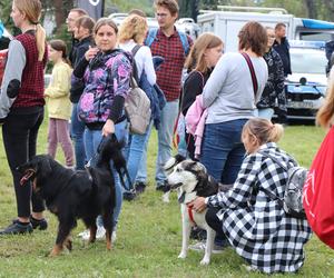 IX Piknik Przyjaciół Schroniska w Toruniu