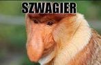 Memy na Dzień Szwagra 