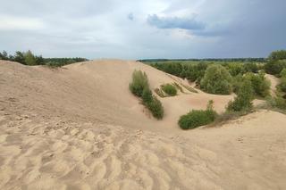 Stare Juchy jak Abu Zabi? Piaskowa góra na Mazurach przypomina egzotyczną pustynię [ZDJĘCIA]