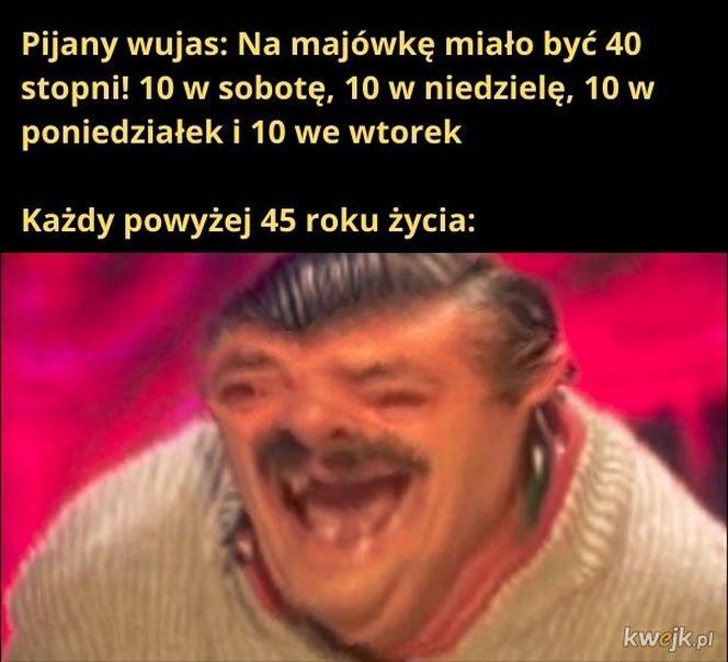 Memy na majówkę 2023. Te obrazki rozbawią Cię do łez!