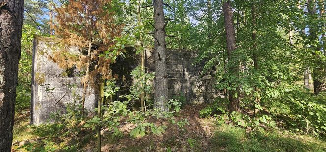Odwiedziłam jeden z piękniejszych powiatów na Mazurach. To prawdziwy „szlak bunkrowy”