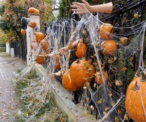 Willa na Jaśkowej Dolinie znów ozdobiona. Tym razem przechodniów zaskakują halloweenowe straszydła!