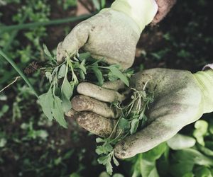 Oto 5 trików na błyskawiczne porządki wiosenne w ogrodzie! Przygotuj swój ogród na nowy sezon