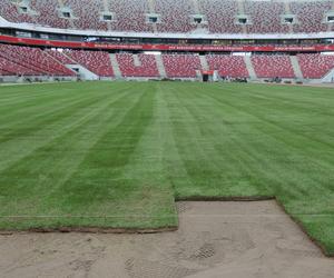 Rozkładanie murawy na Stadionie Narodowym