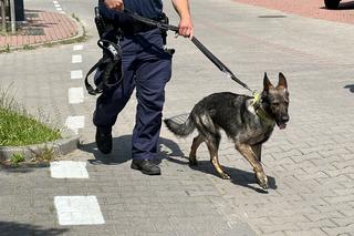 Znokautował policjanta przed sądem i zwiał. Michał ukrywał się w mieszkaniu swojej znajomej. „Był zdziwiony i zaskoczony”