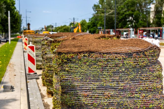 Tramwaj na Stegny w Warszawie
