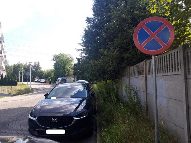 Tak się w Katowicach nie powinno parkować. Kierowcy na cenzurowanym 