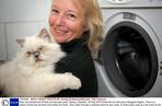 Kot wyprany w pralce