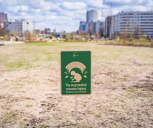 Pierwsza otwarta część parku nad Południową Obwodnicą Warszawy