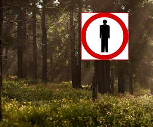 Ogłosili zakaz wstępu do lasów! Problem jest poważny