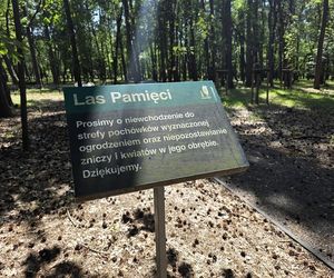 Las pamięci na Junikowie w Poznaniu