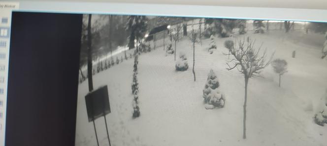 Makabryczny wypadek pod Lublinem! Dwa auta staranowały 14-latkę. Kierowca uciekł [ZDJĘCIA]