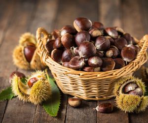 Jakie właściwości mają kasztany jadalne i niejadalne? Poznaj ich zdrowotną moc i zastosowanie w kuchni