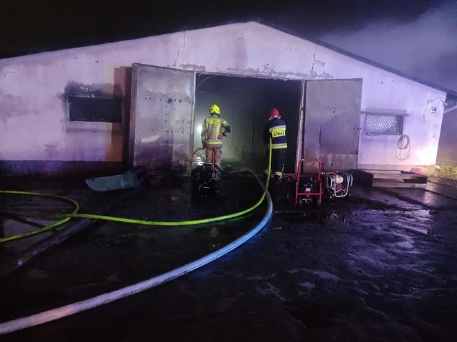 Pożar kurnika w Lubawie. Są straty w inwentarzu