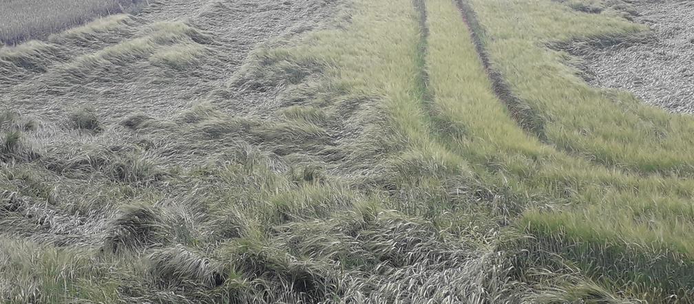 zniszczenia spowodowane gradem i nawalnym deszczem w wojewódzkie kujawsko-pomorskim