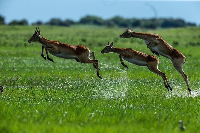50. rocznicy Dnia Ziemi z National Geographic