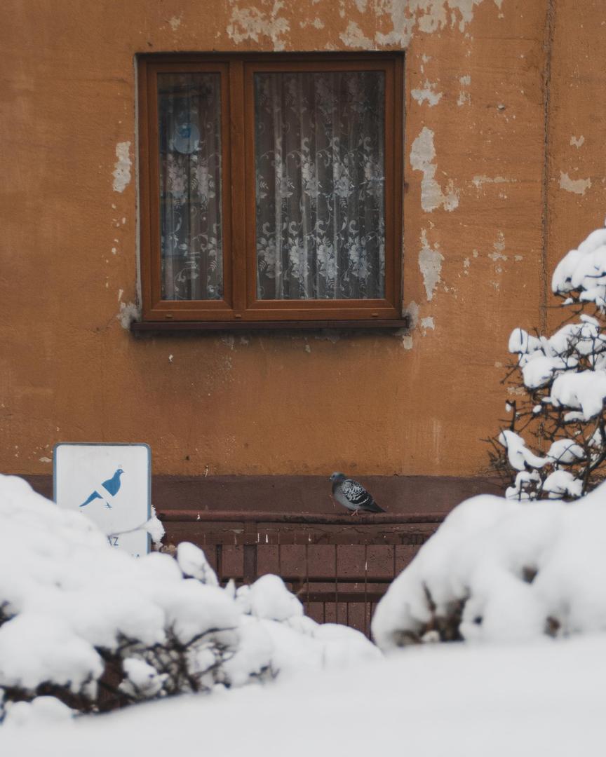 Na tym osiedlu w Sosnowcu czas się zatrzymał. Zobacz zdjęcia wyjątkowych bloków z wielkiej płyty