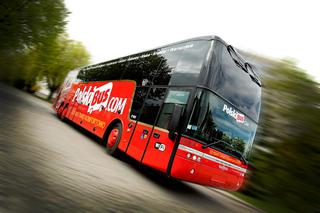 Polski Bus wraca do Szczecina! Dojedziemy nim aż na Ukrainę [NOWA LINIA, ROZKŁAD JAZDY]