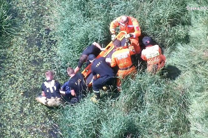 Śląskie: Kobieta zgubiła się w lesie i utknęła w bagnie. Wypatrzył ją z powietrza policyjny dron 