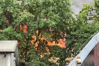 Potężny pożar magazynu w Sulejówku! Kilkudziesięciu strażaków walczy z żywiołem