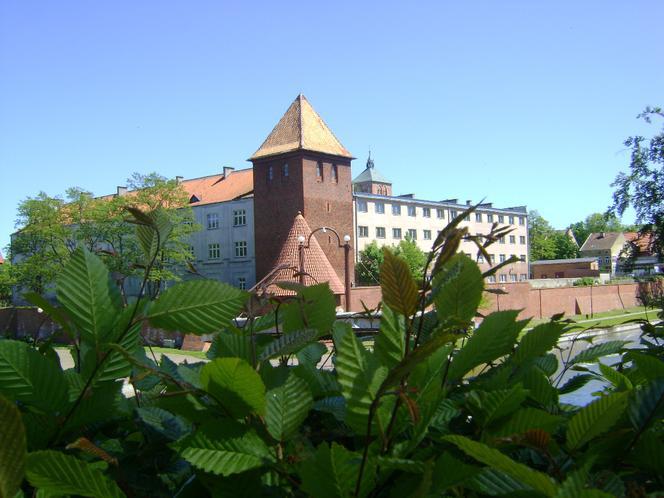 W Braniewie zapowiada się energetyczny i ekologiczny czwartek