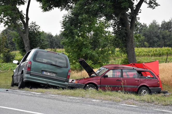Śmiertelne wypadki na drogach. Wakacje 2019