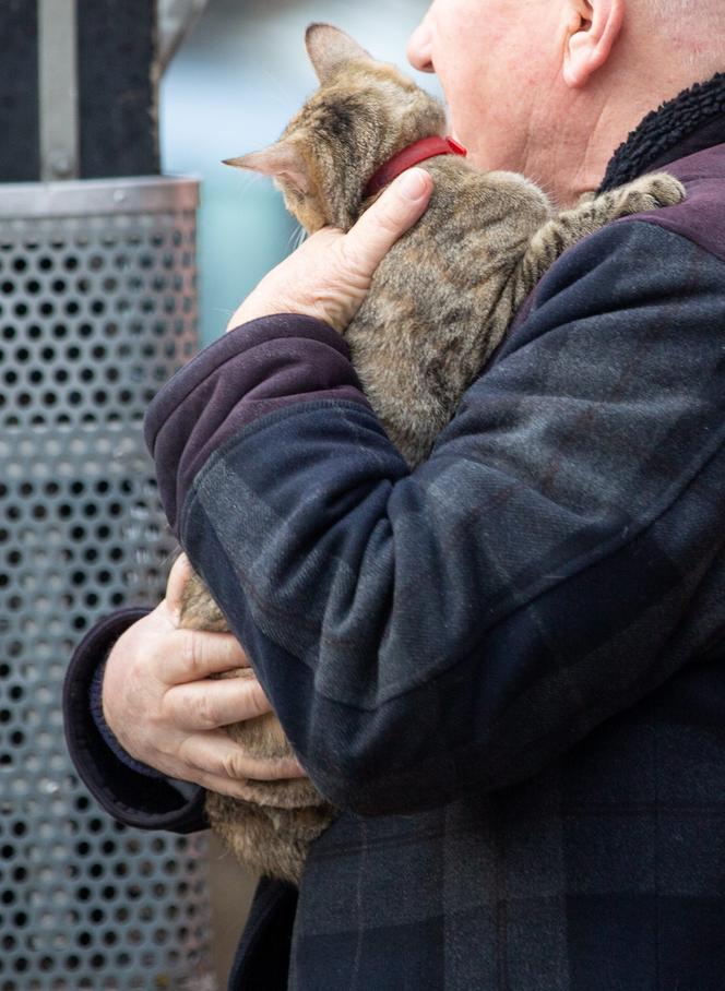 Kot fajtłapa wezwał strażaków.