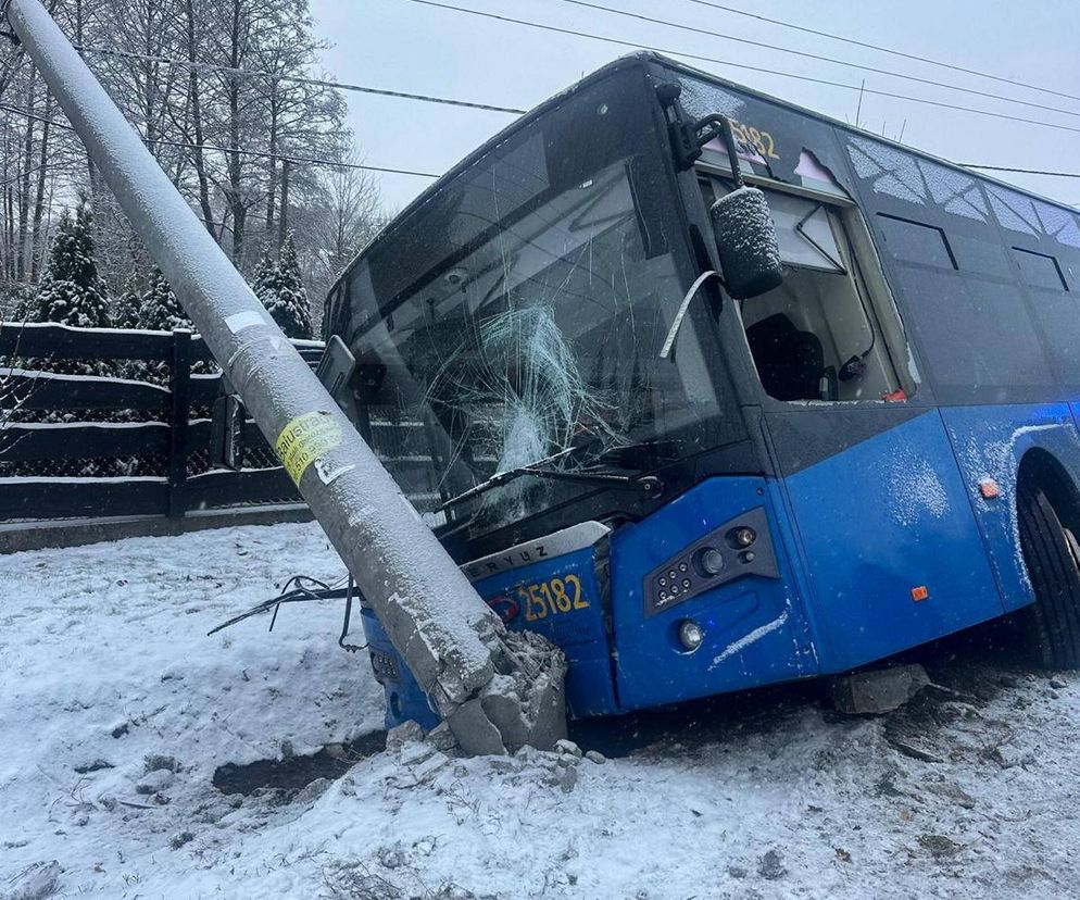 Pasażerowie przeżyli chwile grozy. Autobus zjechał do rowu