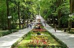 Park Zdrojowy, czyli oaza spokoju w sercu Polanicy 