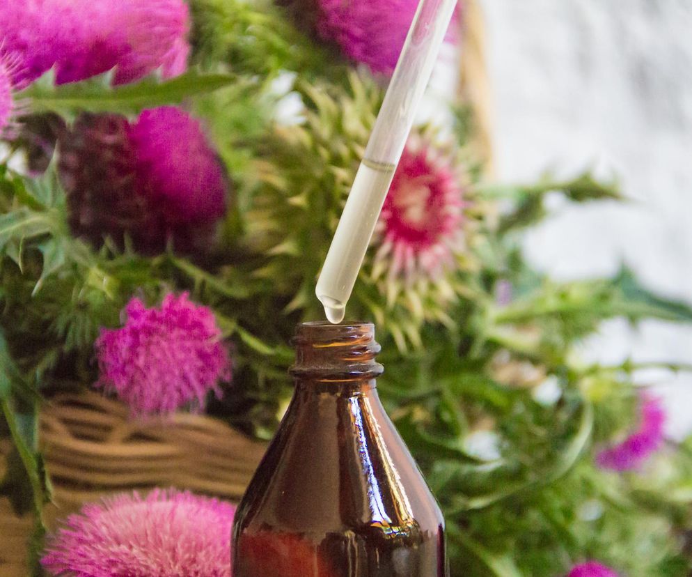 Ma być lekiem na wątrobę, ale czy warto? Tak naprawdę działa olej z ostropestu